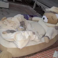 تشک گارددارسایزبزرگ