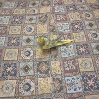 جوجه عروس هلندی 5ماهه