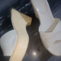 دمپا صندل|کیف، کفش، کمربند|دهدشت, |دیوار