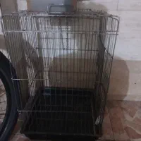 قفس کاسکویی