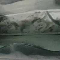 کیف انگلیسی|کیف، کفش، کمربند|محمدشهر, محمدشهر|دیوار