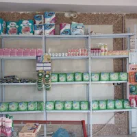 شوینده فروشی همه اجناس به قیمت تولید کننده است|مواد شوینده و دستمال کاغذی|چهارباغ, |دیوار