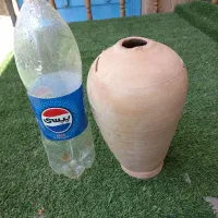 لانه پرنده