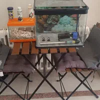 آکواریوم با کل وسایل، برند شیشه خم ماهیران