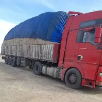 کاه نیشکر تازه شروع شد|حیوانات مزرعه|نجفآباد, قلعه سفید|دیوار