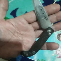 چاقو شاخ|کلکسیون اشیاء عتیقه|کرمانشاه, |دیوار