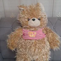 خرس (شاسخین نو و تمیز)