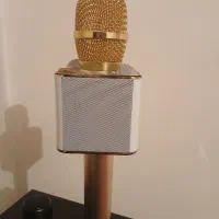 میکروفون اسپیکری|سیستم صوتی خانگی|فردیس, فردیس|دیوار