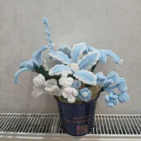 گلهای پیپ پاکن