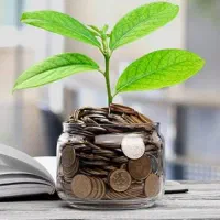 نیازمند سرمایه برای راه اندازی آنلاین شاپ