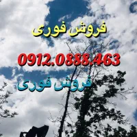 0912.0888.463