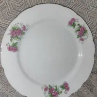 تعدادی گل سرخی بشقاب