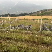 فروش-فوری-زمین-درروستای-توریستی-لارما