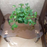 مبل راحتی،چرم و مخمل،۶نفره،با سه عدد میز اصلی|مبلمان خانگی و میز عسلی|مشهد, حجاب (شهرک غرب)|دیوار