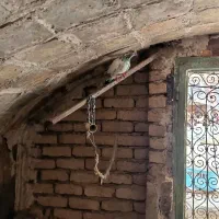 ماده روزگاری