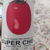 بذر گوجه سوپر جف سانسید