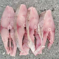 فروش انواع ماهی و میگوی جنوب با فروشگاه جنوب مارک|ماهی|تهران, دبستان|دیوار