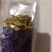 شاخه گل طلایی