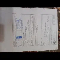 حواله شاهین|خودرو سواری و وانت|خان ببین, |دیوار
