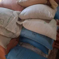 فروش گندم دیم|عمده‌فروشی|آبیک, |دیوار