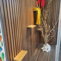 صندلی چرخدار.ویترین مغازه.سنگ تزئنی.کارتن پلاست