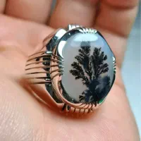 انگشتر هایه نقره شجر مهردار|جواهرات|تهران, باغ فیض|دیوار