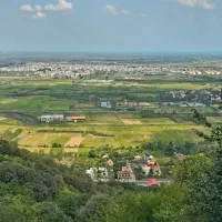 فروش-زمین-مسکونی-در-ارتفاعات-لنگرود-دیوشل