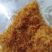 ریشه زعفران