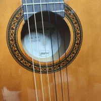 گیتار هافنر کلاسیک|گیتار، بیس، امپلیفایر|تهران, افسریه شمالی|دیوار