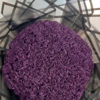 گل روبانی جاودان