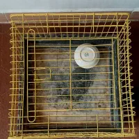 قفس خرگوش قفس همستر|لوازم جانبی حیوانات|پاکدشت, پاکدشت (مامازند)|دیوار