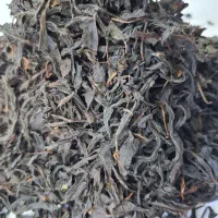 چای بهاره عمده 1405 گیلان