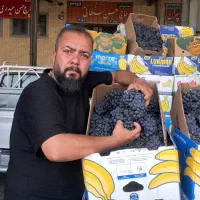 انگور شانی دیم سنندج|خوردنی و آشامیدنی|اصفهان, کوی امیریه|دیوار