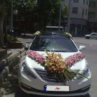 کرایه ماشین سوناتا وای اف سفید