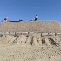 باگاس نیشکر|خدمات پیشه و مهارت|شهرضا, |دیوار