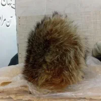 کلاه روسی گرم