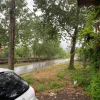 اجاره سالانه خانه ویلایی مبله ۸۰۰متر|اجارهٔ خانه و ویلا|تولم شهر, |دیوار