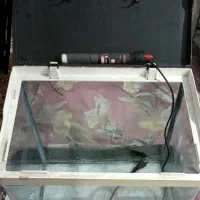 اکواریوم شیشه خم