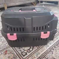 واگذاری گربه با وسایل نگهداری|گربه|زنجان, |دیوار