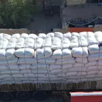 کاه|لوازم جانبی حیوانات|زابل, |دیوار