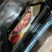 گلفر بوش|اجاق گاز و لوازم برقی پختوپز|چابهار, |دیوار