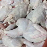 فروش  بلدرچین کشتار شده و تخم گذار ۶۰تومان|حیوانات مزرعه|اطاقور, |دیوار