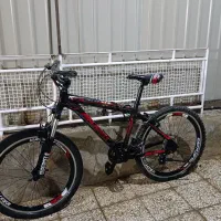 دوچرخه|دوچرخه، اسکیت، اسکوتر|لاران, |دیوار