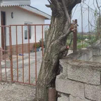 زمین فروشی 430مترچهاردیواری درسوراپشت|فروش زمین و ملک کلنگی|تالش, هشتپر|دیوار