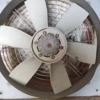 فروش یک فن بزرگ و3فن کوچک معاوضه با کبوتر هم دارم