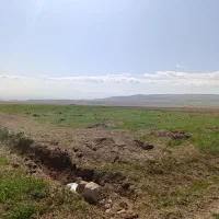 زمین کشاورزی دیم مرغوب