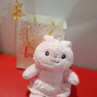 عروسک ولنتاین