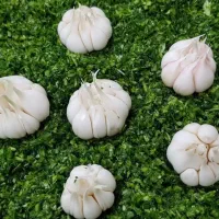 سبزی خورشتی کیلویی 60 هزار