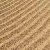 برنج کامفیروزی