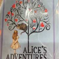 مدرس زبان / تدریس